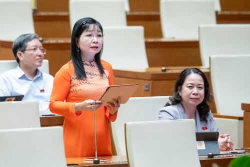 ĐBQH đề nghị cân nhắc tính thuế 'gói hàng giá trị nhỏ' nhập qua biên giới