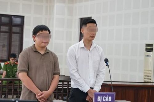 Lĩnh án vì cho người nước ngoài không có bằng lái thuê xe