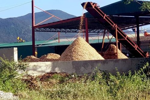 Liên tiếp dính sai phạm, Công ty Mai Anh 88 bị xử phạt hàng trăm triệu đồng