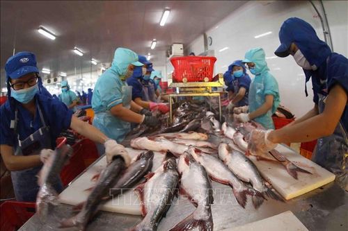 Vasep kiến nghị gỡ vướng cho doanh nghiệp thủy sản