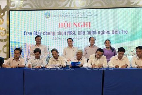 Trao giấy chứng nhận MSC cho nghề quản lý và khai thác nghêu Bến Tre