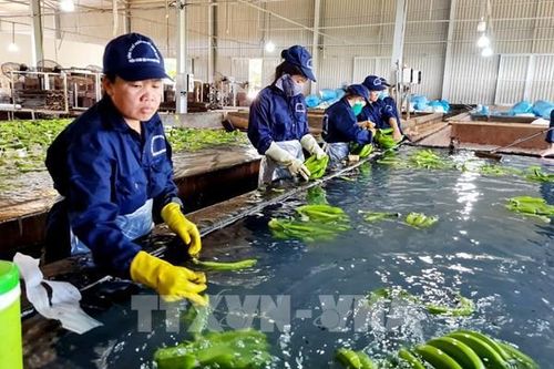 Nhật Bản đề xuất thay đổi mức giới hạn dư lượng một số hóa chất nông nghiệp