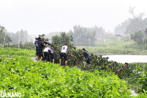 Tuổi trẻ Đà Nẵng ra quân khơi thông lối thoát nước tại huyện Hòa Vang