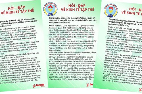 Trong trường hợp nào thì thành viên hội đồng quản trị đồng thời là giám đốc Hợp tác xã; chỉ bầu kiểm soát viên, không có ban kiểm soát?