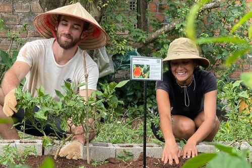 Đường dài cho Gia Lai phát triển du lịch nông nghiệp