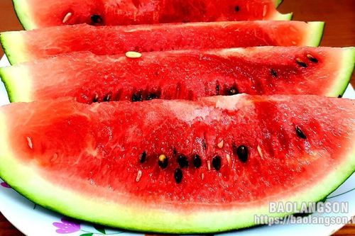 Lộc Bình: Ngọt ngào mùa dưa hấu