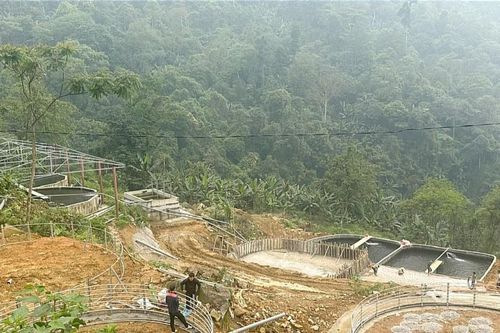 Bảo Thắng xử phạt 2 cá nhân vi phạm lĩnh vực đất đai, tài nguyên nước