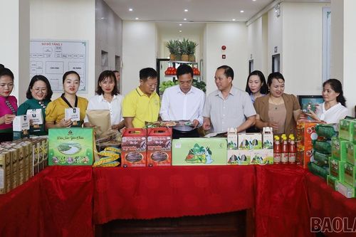 Sơ kết 3 năm thực hiện Chương trình hợp tác lĩnh vực nông nghiệp giữa tỉnh Lào Cai và tỉnh Sơn La