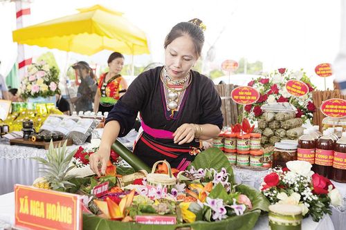Đồng bào các dân tộc huyện Yên Lập chung sức xây dựng quê hương