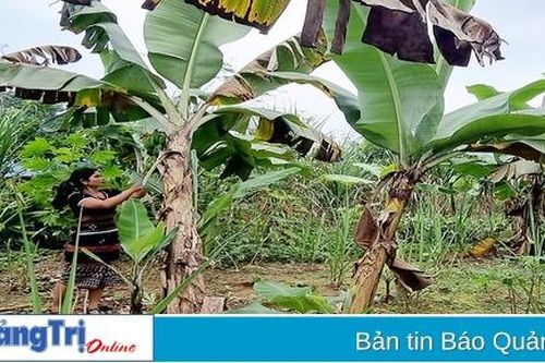 Huyện Đakrông nỗ lực cải thiện đời sống cho người dân khu vực khó khăn