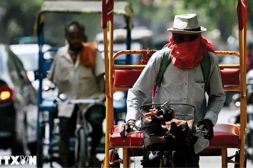 Năng suất lao động gặp rủi ro khi xảy ra nắng nóng