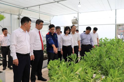 Supe Lâm Thao gắn biển Công trình Vườn thực nghiệm và Phòng giặt quần áo bảo hộ lao động cho người lao động.