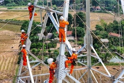 Còn chưa đầy 1 tuần để hoàn thành dự án đường dây 500kV Nam Định 1 - Thanh Hóa