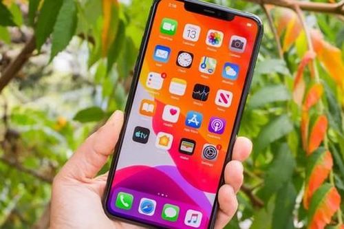 Giá iPhone 11, iPhone 11 Pro, iPhone 11 Pro Max mới nhất rẻ như bèo, siêu hấp dẫn cho người mua