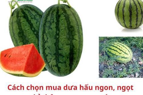 Cách chọn mua dưa hấu ngon, ngọt chỉ thông qua quan sát