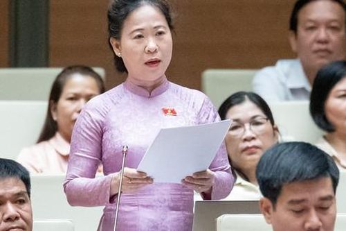 Áp thuế suất 5% với phân bón, ĐBQH lo tăng áp lực cho nông dân