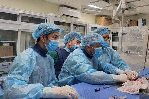 BV Bạch Mai hỗ trợ điều trị 3 ca bệnh nguy kịch tại Hà Giang