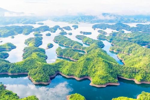 Vườn quốc gia Tà Đùng: điểm sáng trồng rừng