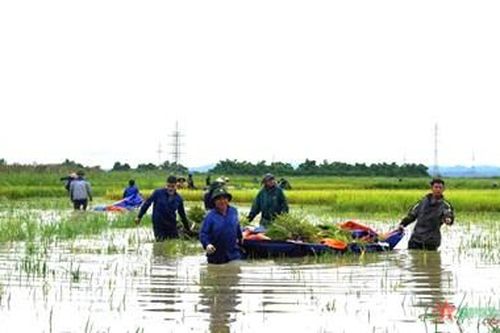 Tạo lập vành đai bảo vệ Kho J102 từ hàng rào lòng dân
