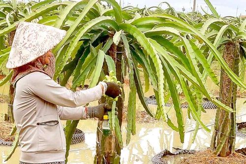 Mưa khắp cả nước, phá tan oi bức