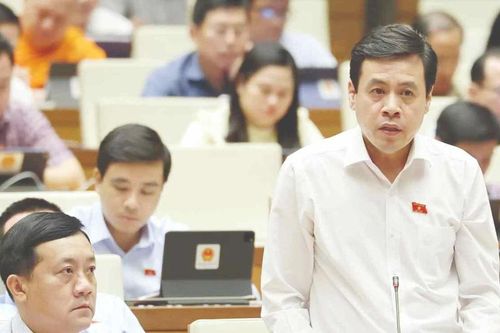 Lo việc áp thuế giá trị gia tăng 5% với phân bón