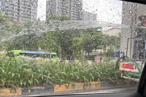 Hồ sơ Đô thị Việt Úc tưới cây xanh giữa trời mưa Hà Nội