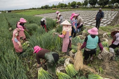 Trung Quốc áp đặt thêm biện pháp kiểm soát xuất khẩu phân bón