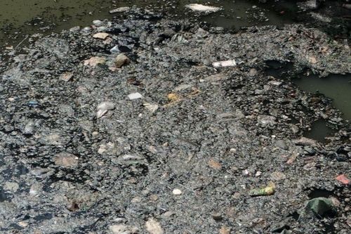 TP Hồ Chí Minh: Ngăn chặn nạn tái ô nhiễm kênh rạch
