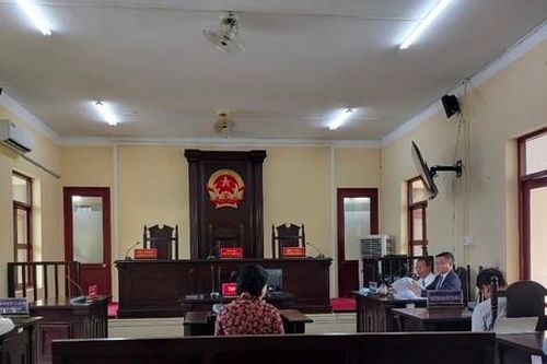 Tiếp tục trả hồ sơ vụ nữ đại gia từng tổ chức rước dâu cho con bằng máy bay