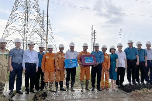 Quyết tâm cao, nỗ lực lớn để đưa Dự án đường dây 500kV mạch 3 về đích