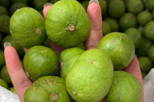 Uống nước sấu có giúp giảm nồng độ cồn?