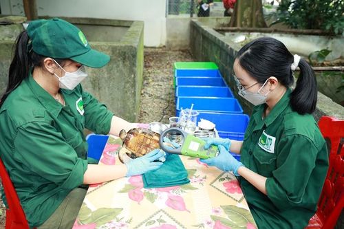 Mối đe dọa lây bệnh giữa động vật hoang dã và người