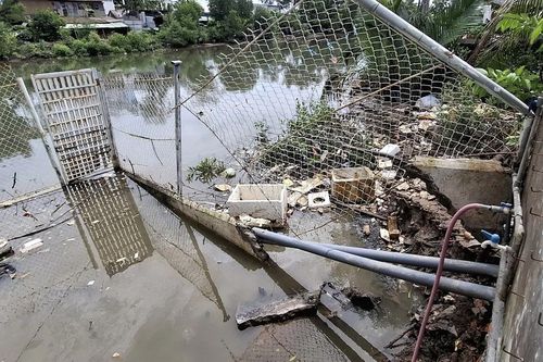 Bạc Liêu: Phập phồng nỗi lo sạt lở mùa mưa bão