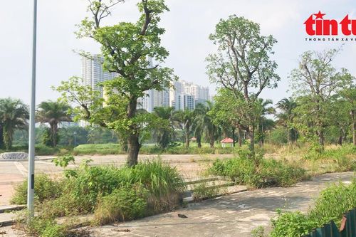 Công viên hồ điều hòa rộng gần 12 ha ở Hà Nội bị bỏ hoang