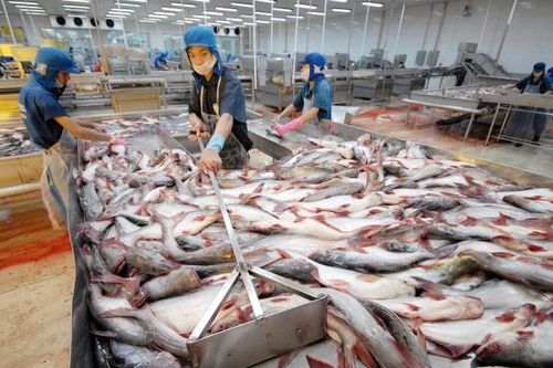 Đề xuất 7 giải pháp gỡ vướng cho doanh nghiệp thủy sản