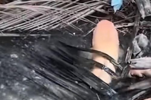 Khoe cảnh bắt được con cá trê vàng kỳ lạ, cộng đồng mạng tranh cãi hết lời