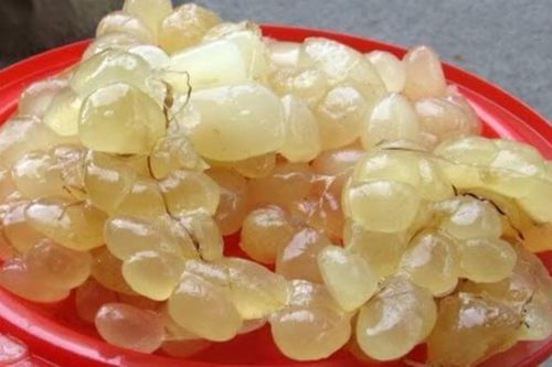 Mỡ trăn mang lại lợi ích gì cho sức khỏe?