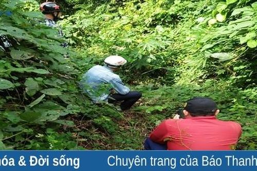 Gian nan cuộc chiến phòng, chống ma túy ở Mường Lát