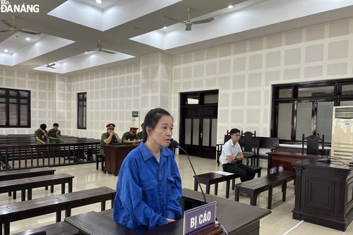 Lãnh án vì lừa đầu tư, góp vốn để lấy tiền trả nợ