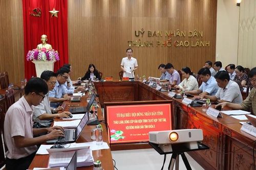 Đại biểu Hội đồng nhân dân tỉnh đơn vị TP Cao Lãnh thảo luận tổ