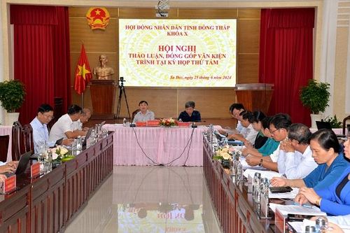 Đại biểu Hội đồng nhân dân tỉnh đơn vị TP Sa Đéc, huyện Thanh Bình thảo luận tổ