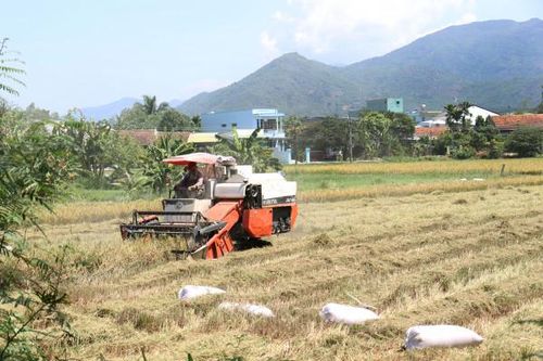 Xã Vĩnh Thạnh: Hoàn thành xây dựng nông thôn mới nâng cao