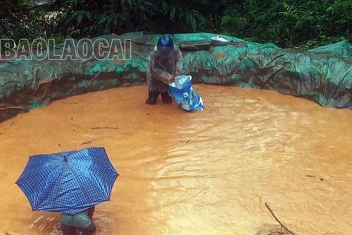 Mưa lũ làm 33 nhà dân bị hư hại