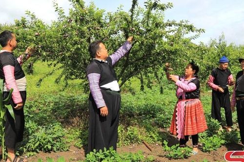 Chăm lo đời sống vùng đồng bào dân tộc thiểu số