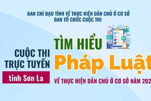 Kết quả Cuộc thi trực tuyến 'Tìm hiểu pháp luật về thực hiện dân chủ ở cơ sở' của các đơn vị ngày 24/6/2024