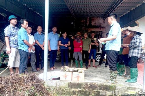 Sơn Dương phát triển nông nghiệp tuần hoàn