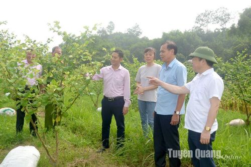 Tạo sinh kế giúp người lầm lỗi tái hòa nhập cộng đồng