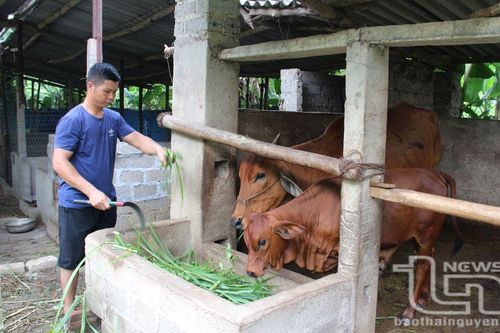 Phú Bình chăm lo đời sống đồng bào các dân tộc thiểu số