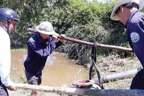 Đảm bảo nguồn nước cho sản xuất nông nghiệp