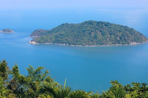Cà Mau: Thành lập khu bảo tồn biển 27.000ha
